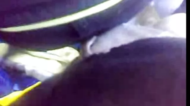 XXX pas d'inscription  Triple lesbiennes dans le telecharger videos porno gratuitement nettoyage